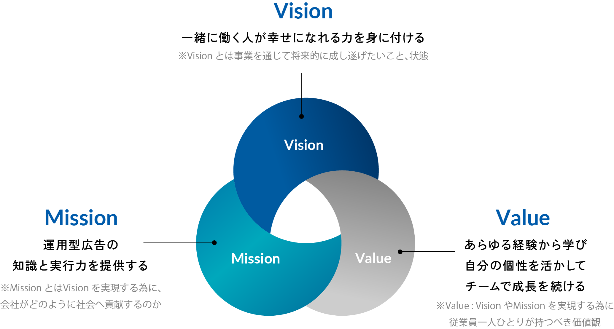 vison mission value