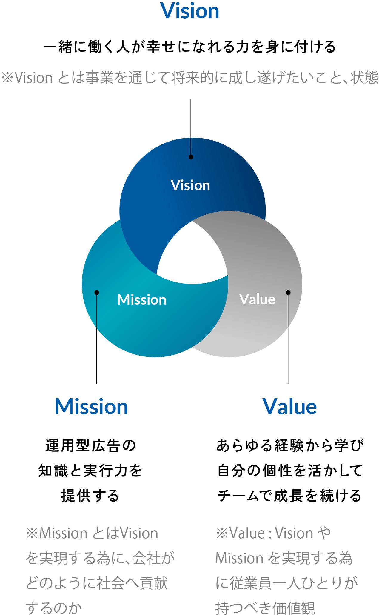 vison mission value